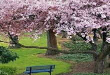 精品 在线 视频 亚洲小说 日本细腻的线视社会写实