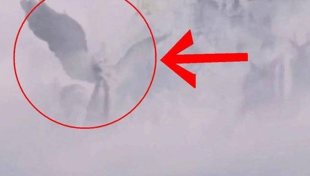 91手机自拍 方便拍摄全身照或合影