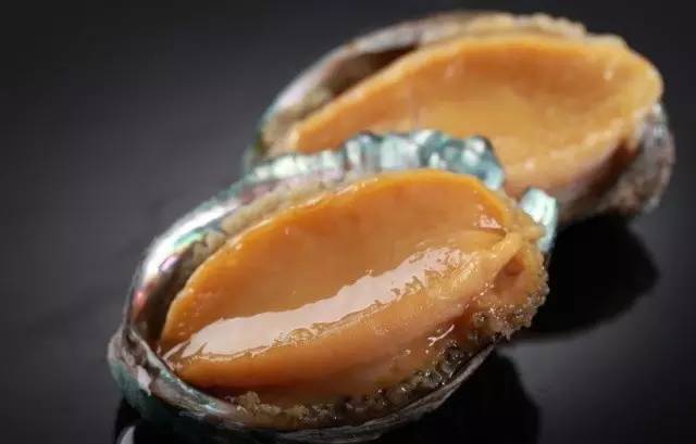 萌视频 关注几个你喜欢的萌视频Up主