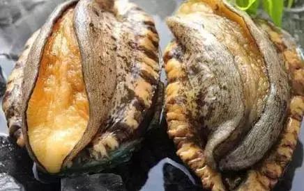 萌视频 关注几个你喜欢的萌视频Up主