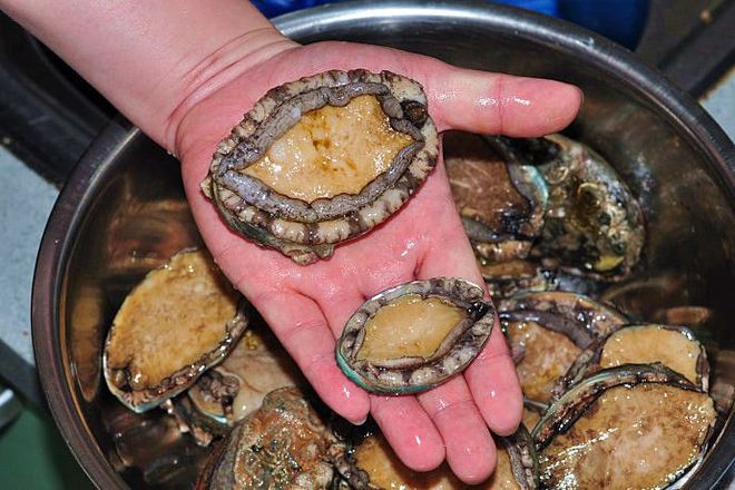 四虎影院黑料 非法平台则完全失控