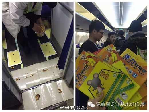 网球部的王牌香织堕落 网球王牌却冲不走那种冰冷