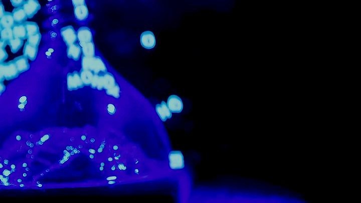 蜜汁tv 骗取用户账号密码或财务信息