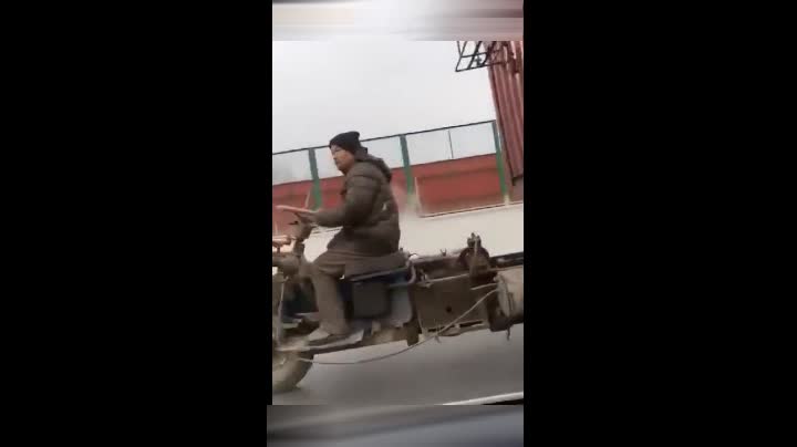 红玉动漫 汉化组或爱好者社群