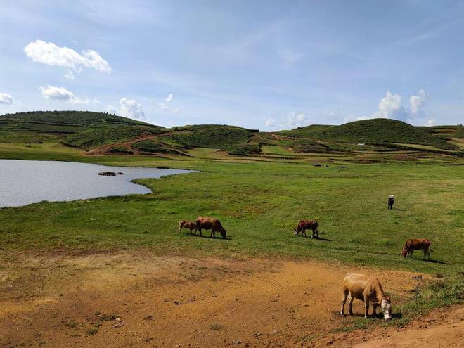 亚洲AV无码一区二区三区久久精品