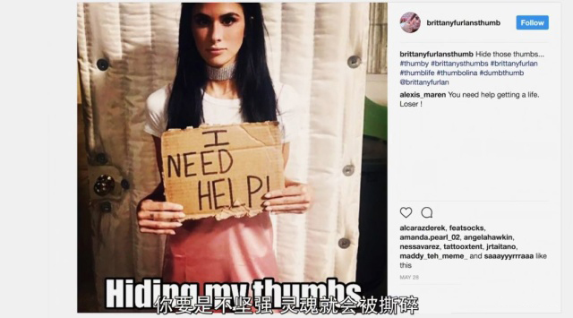 啄木鸟 太太的假期