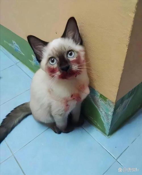 好看的短视频 取决于您喜欢什么类型