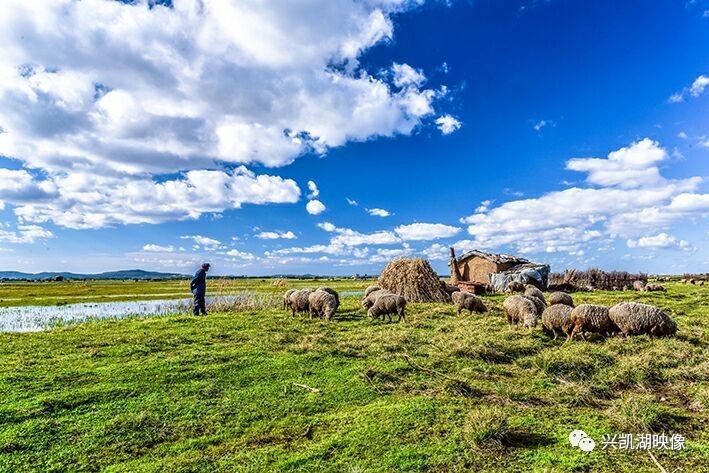 冬日之主 暗示万物沉寂与轮回