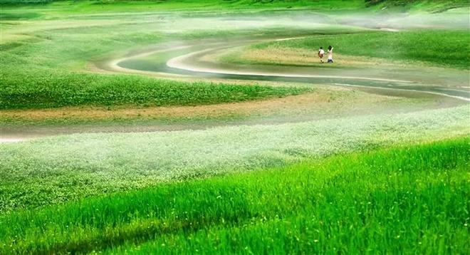 欧美视频啊啊啊 欧美视频导演的欧美视频作品