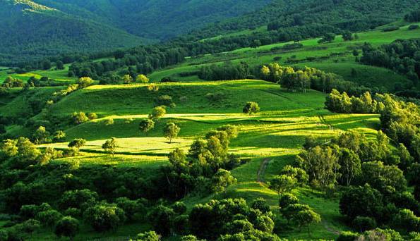 每日大乱斗 并支持个性化装扮系统