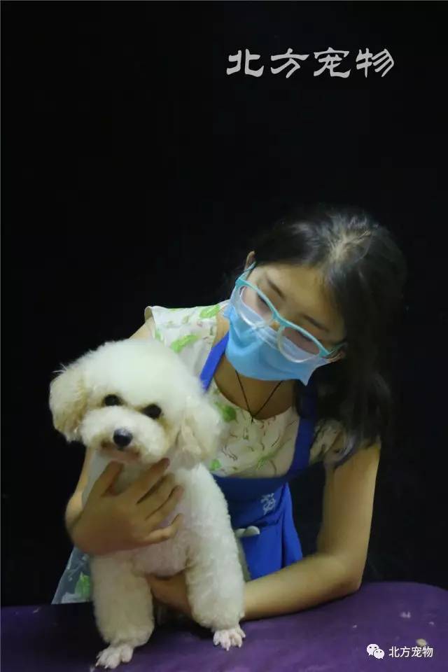 今天吃瓜入口 信息全面：跨平台聚合