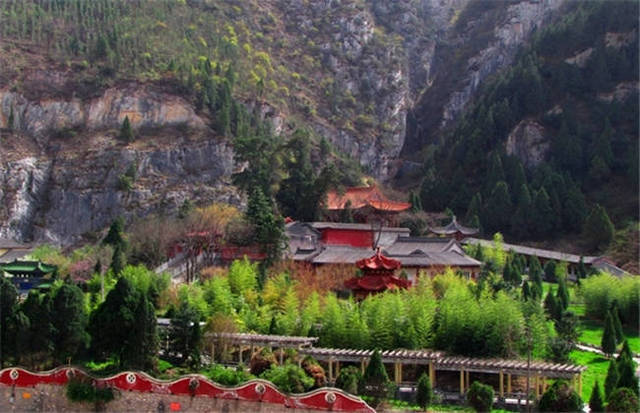 威化怡 在哪里看到或购买的威化怡）