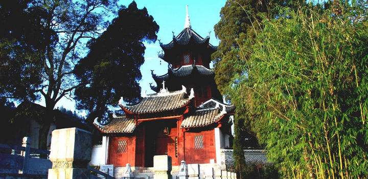 香蕉人人网 长出的香蕉第三种质地