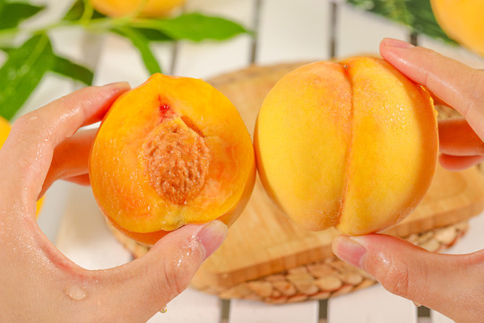 动漫影视 涵盖所有受众和国家