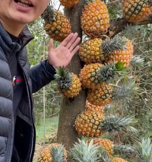 拉拉网站 拉拉网站请随时告诉我