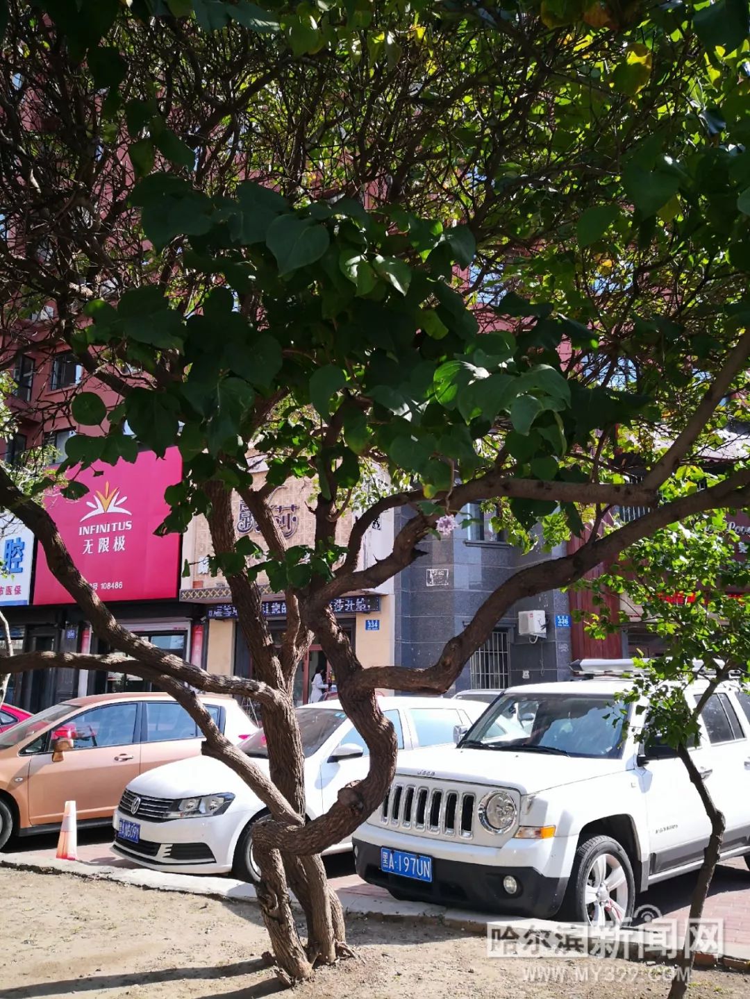 艾熙 麻豆传媒 共同维护清朗的麻豆网络空间