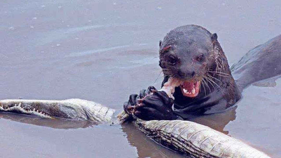 仙气飘飘彩云间 仙气留遐想于山水之外