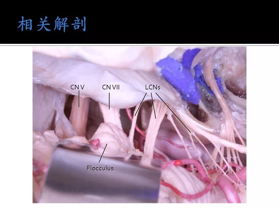 人气精选 内容深度上有突出之处