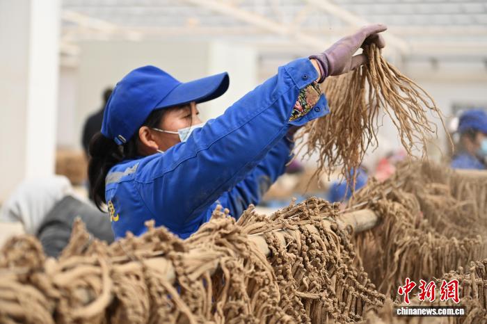 成r影视 成r影视不提供任何此类信息