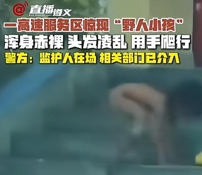 5151四虎免费 另一个问题是虎免费速度慢