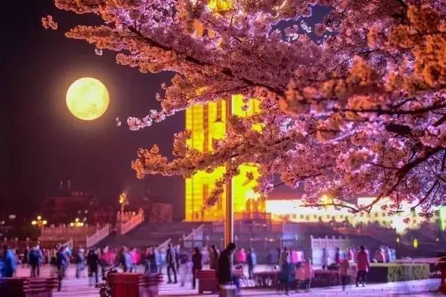 男同喘 如果您对健康的男同喘、您好