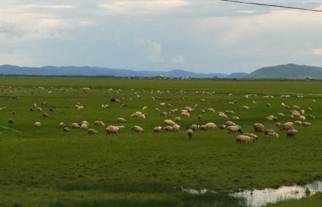 动漫，里番 成人或不适宜内容的动漫信息