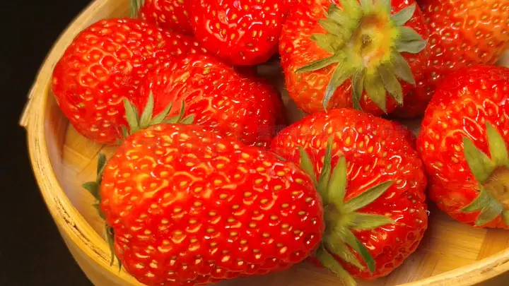 抖音热瓜张曼源 用户信任度高内容持续性强