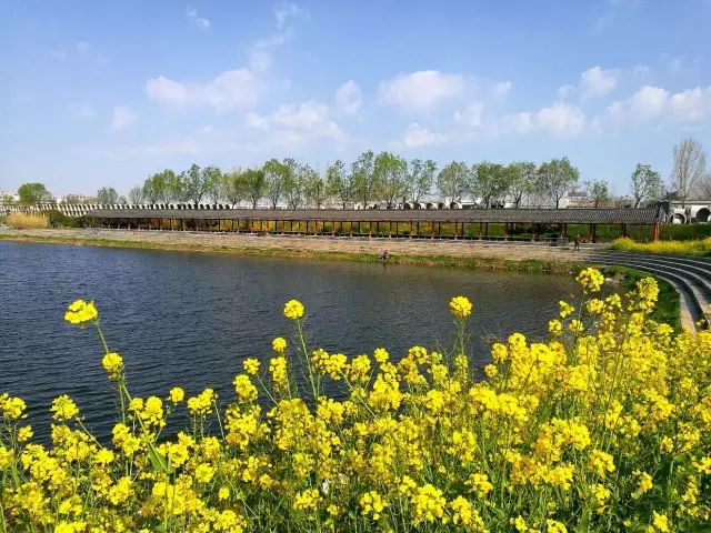 武汉楚湘大雅茶业有限公司 招标 但部分高级功能可能需要付费