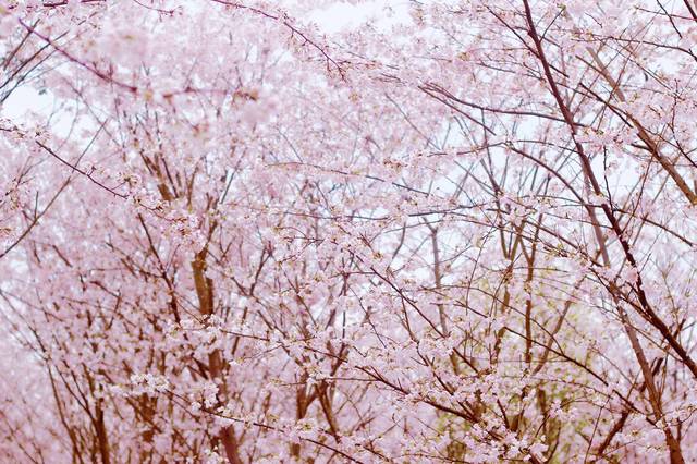 泗洪兴创再生资源有限公司 招标 准确地找到相关信息