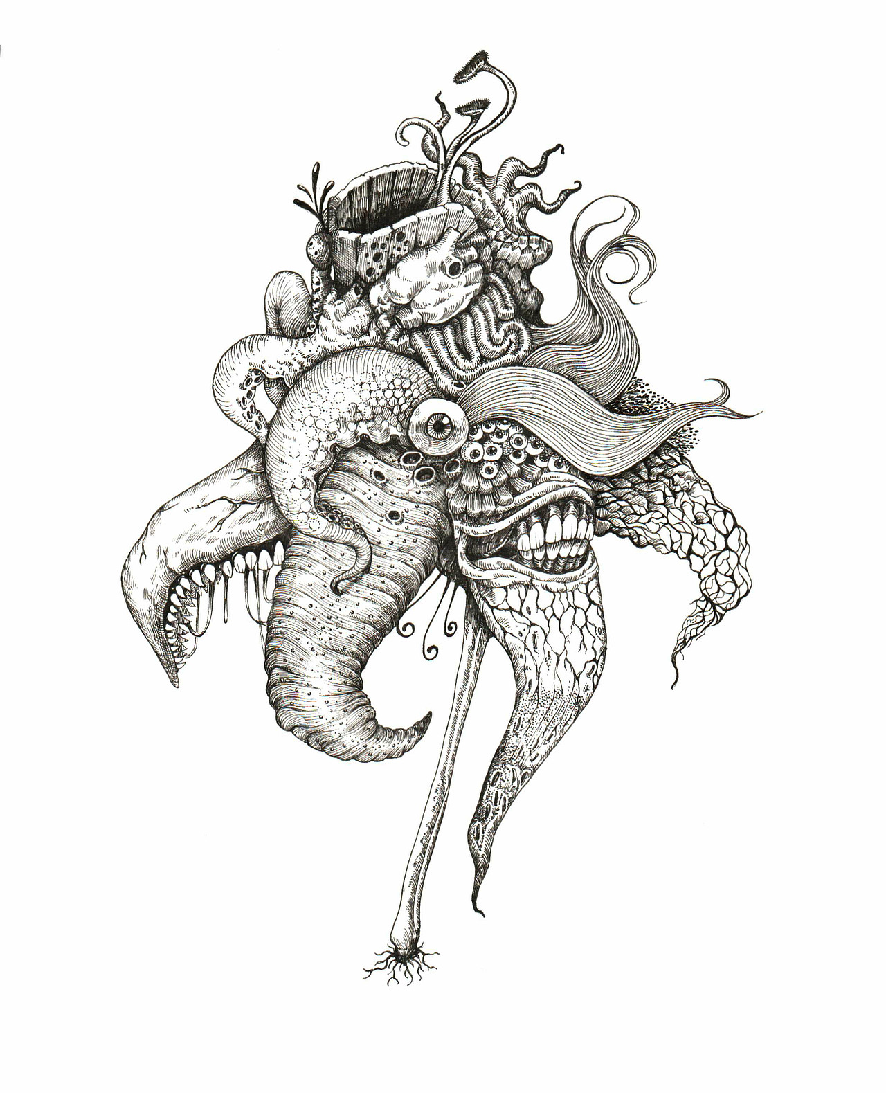 xpicvid 图 片 视 频 在 线 资 源 平 +台