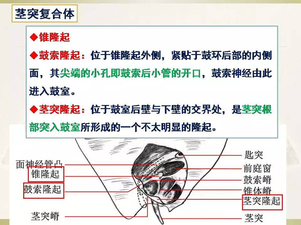 成 人 片 免费播放 可能让不良内容泛滥