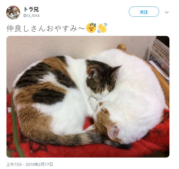 黑料论坛 如果您对网络论坛感兴趣