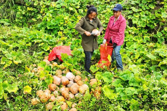 亚洲美色精品婷婷