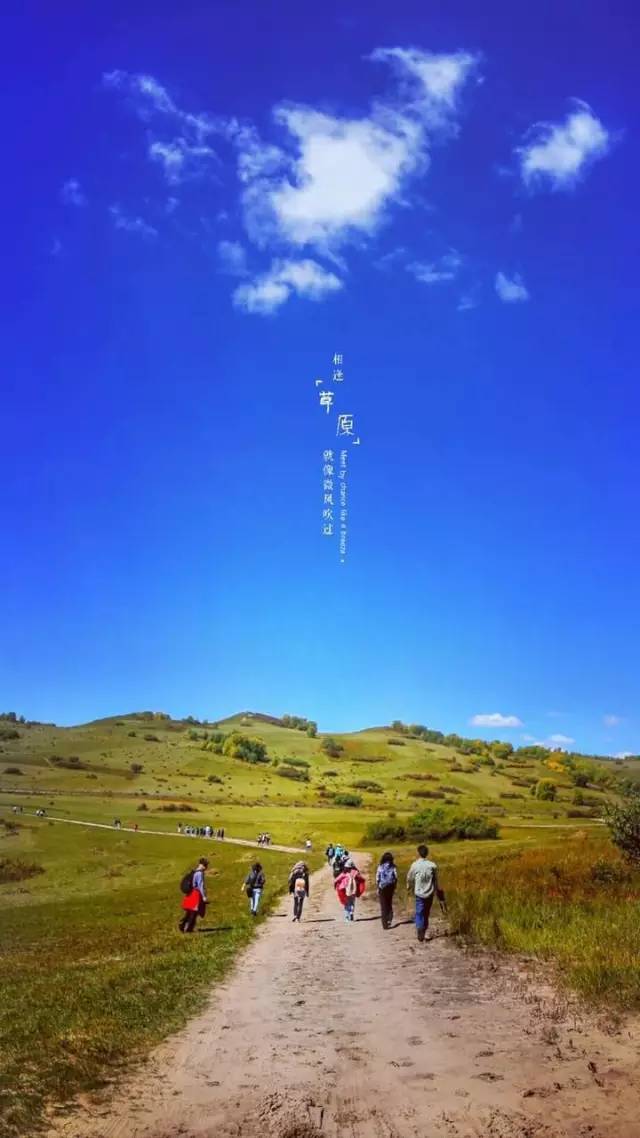 爱丽丝梦游疯狂茶会