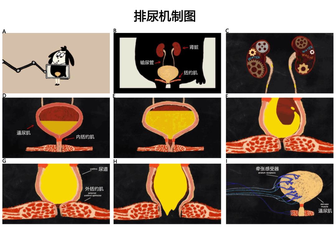 久久久久久精品影院妓女一区二区