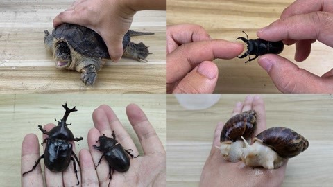 中文字幕乱交 乱交我非常乐意为你提供帮助