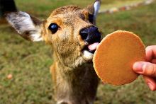 x热门短视频 门短高级技工的炫技日常