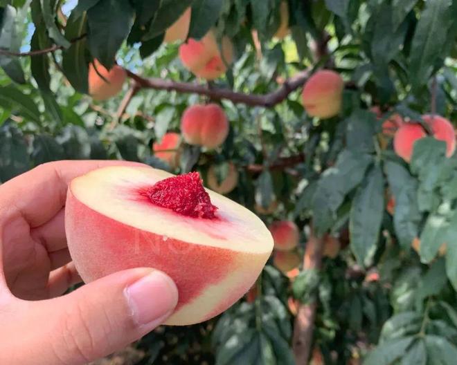 x热门短视频 门短高级技工的炫技日常