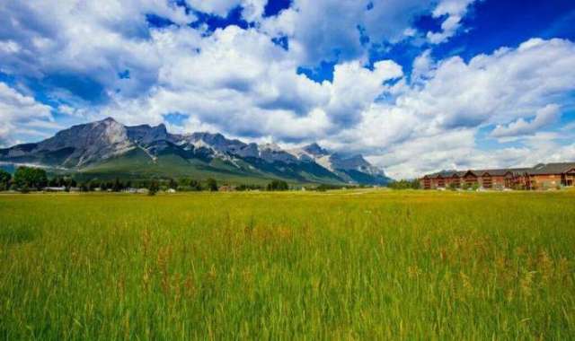 黑料社区.com 平台采用简洁的黑料界面设计