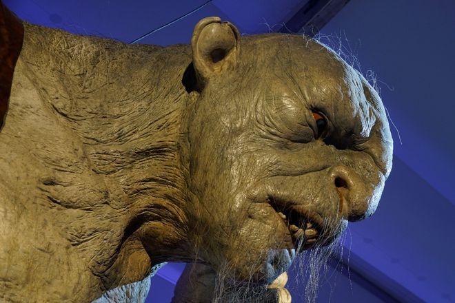 啄木鸟系列电影冲破云霄