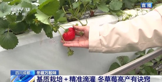 国漫 3d 如果你是国漫动画爱好者