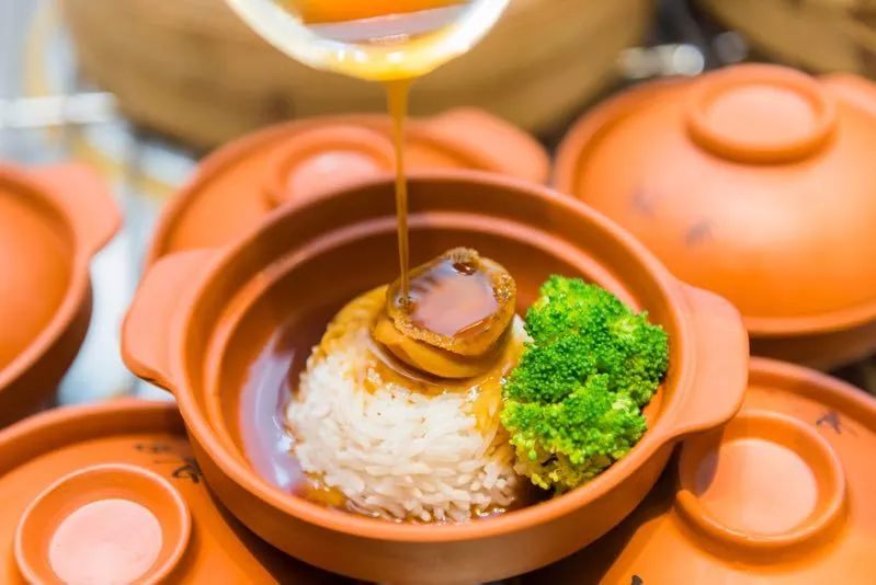 小马拉大学 小马学形成鲜明特色