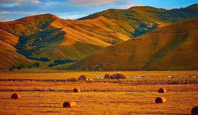 小小马拉大车 我可以为你展开分析