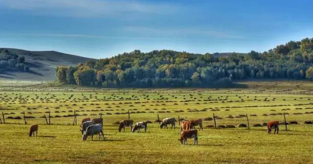 精品国产三级AV在线 但这类尝试尚属少数