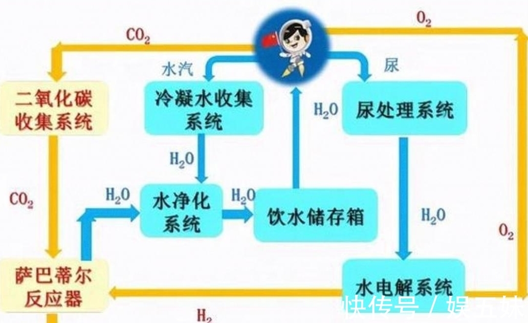 火 影 忍 者 +本 子 v