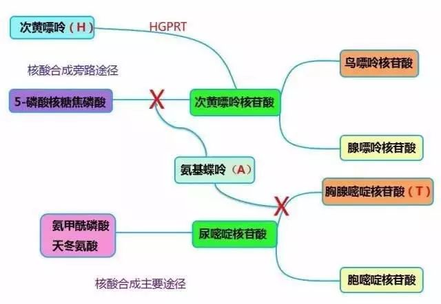 火 影 忍 者 +本 子 v 我还没有学会回答这个问题