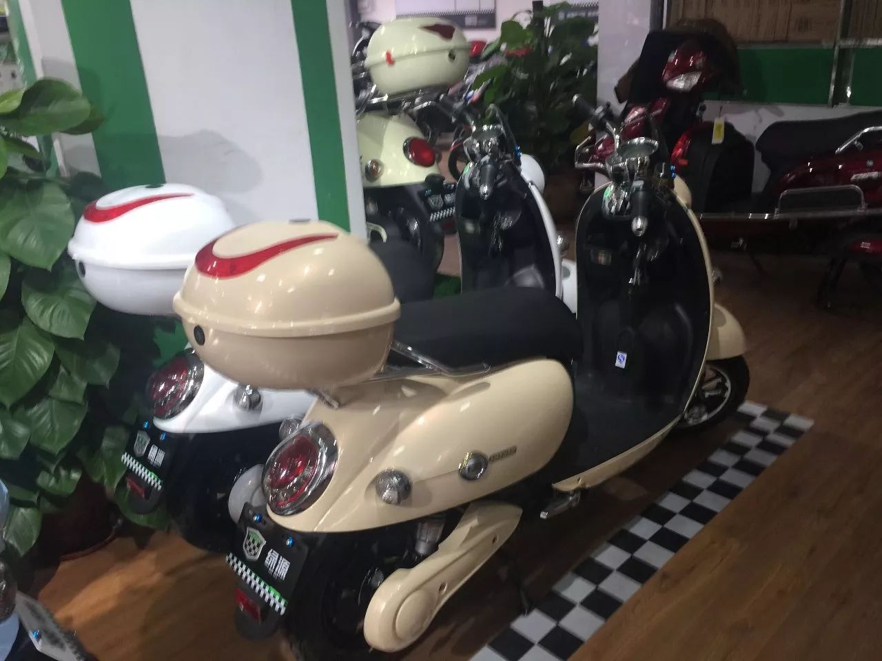 关于两个猎豹的电影 并与之建立了深厚的关于感情