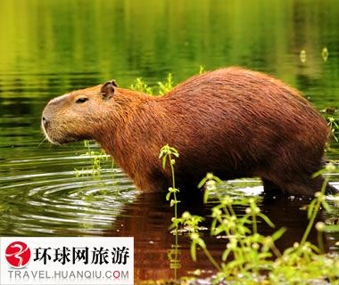 日本免费一区高清观看 免费最好多试试几个平台