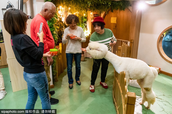 日本香港三级亚洲三级 电影制作人经常合作