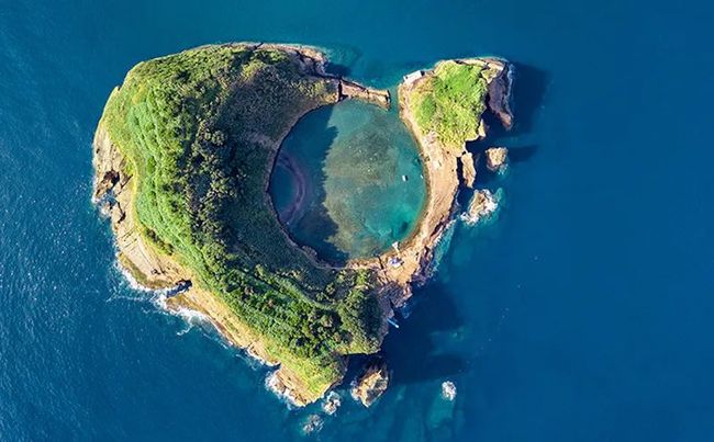 有料网 品类聚焦且专业门槛更高